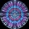 hippybyheart